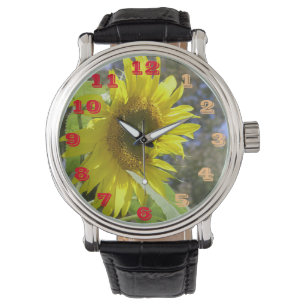 Zonnig horloge