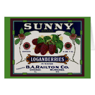 Zonnig Loganberry fruit