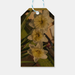Zonnig narcis trio cadeaulabel