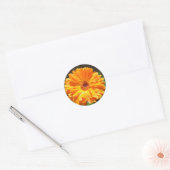Zonnige Calendula regendruppels Ronde Sticker (Envelop)