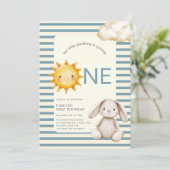Zonnige Cute Bunny Eerste Verjaardag OF code Kaart (Staand voorkant)