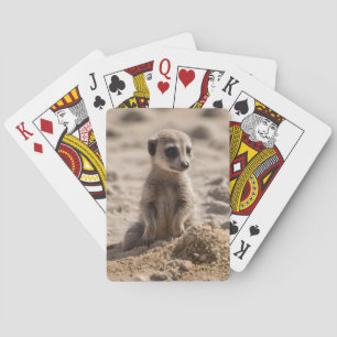 Zonnige dagen: Baby Meerkat's Beach Adventure Pokerkaarten