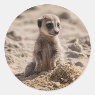 Zonnige dagen: Baby Meerkat's Beach Adventure Ronde Sticker