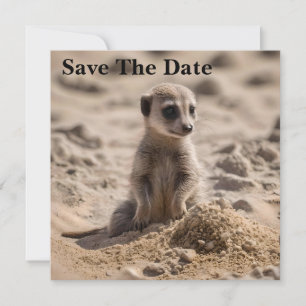 Zonnige dagen: Baby Meerkat's Beach Adventure Save The Date