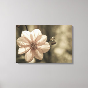 Zonnige Dahlia Canvas Afdruk