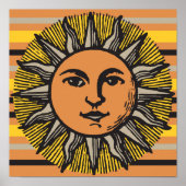 zonnige houtsnipsteen poster (Voorkant)