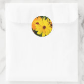 ZONNIGE MARIGOLDS STICKERS (Tas)