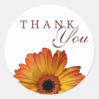 Zonnige Oranje gerbera daisy flower dank u Ronde Sticker