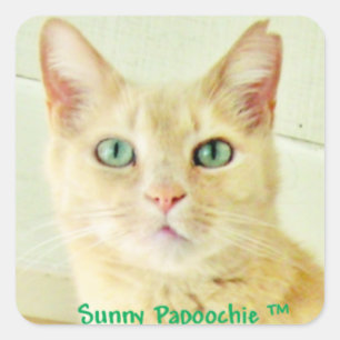 ZONNIGE PAPOOCHIE STICKERS