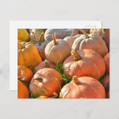 Zonnige pompoenen briefkaart (Voorkant / Achterkant)