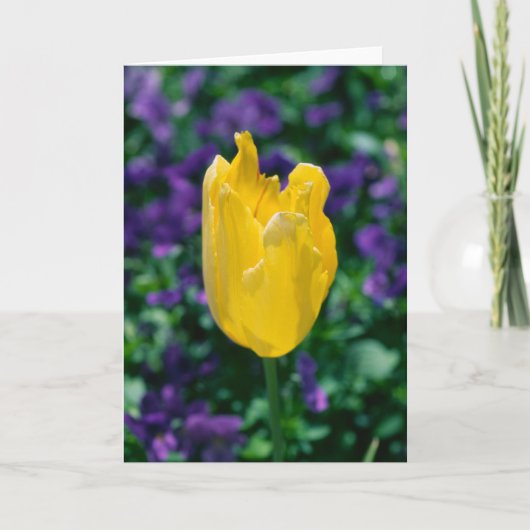 Zonnige Tulp Kaart (Voorkant)