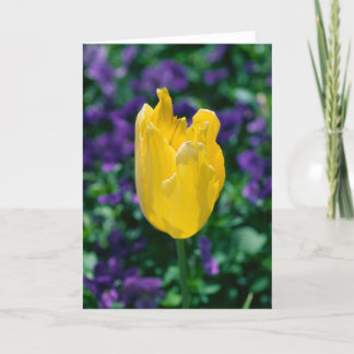 Zonnige Tulp Kaart