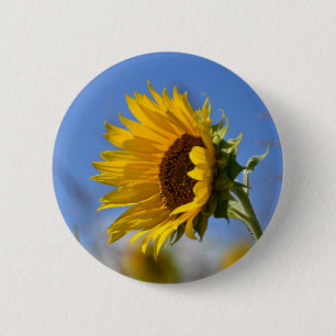 Zonnige Zonnebloemen Ronde Button 5,7 Cm