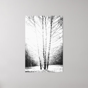 Zonovergoten berkenbomen in het winterbos canvas afdruk