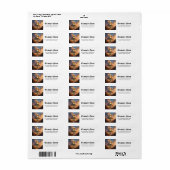 Zonovergoten Bewaker – Woestijnreliekkonijn.  Etiket (Full Sheet)