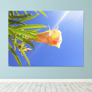 Zonovergoten Bloesem Onder een Diepblauwe Lucht Canvas Afdruk
