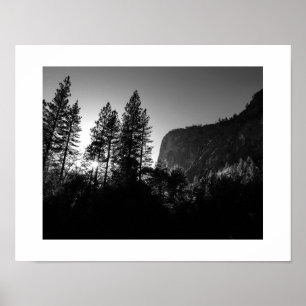Zonovergoten Bomen Yosemite Zwart-wit Fotografie Poster