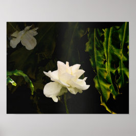 Zonovergoten botanische kunst print