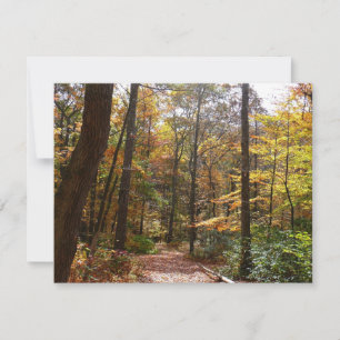 Zonovergoten Fall Trail in Laurel Hill State Park