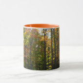 Zonovergoten herfstbos herfstlandschap mok (Midden)
