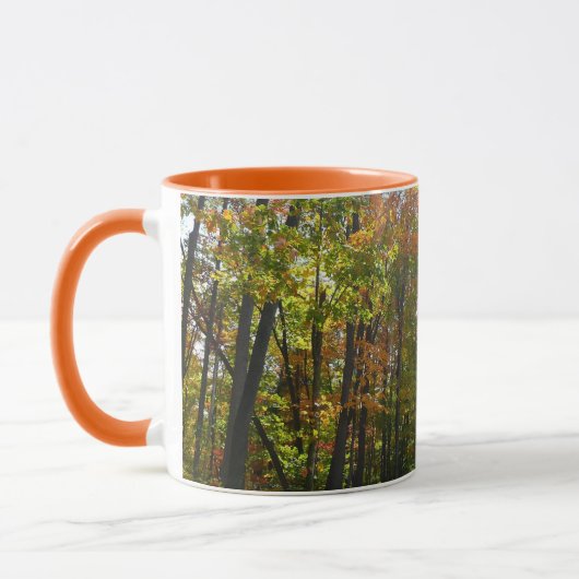 Zonovergoten herfstbos herfstlandschap mok (Links)