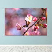 Zonovergoten Kersenbloesems en Knoppen Op Een Mooi Canvas Afdruk (Insitu (Houten vloer))