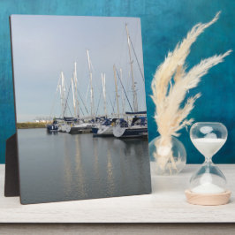 Zonovergoten Masten Fotoplaat