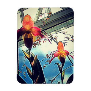 Zonovergoten Orchideeën Flexi Foto Magneet