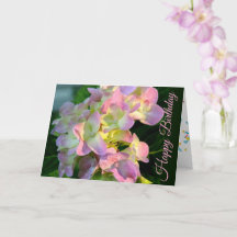 Zonovergoten Roze Hydrangea Happy Birthday Kaart