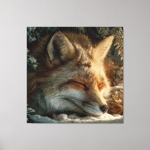 Zonovergoten Sneeuw Vos Rust Canvas Afdruk
