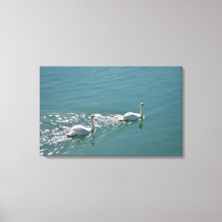 Zonovergoten zwanen canvas afdruk