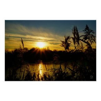 Zonsondergang bij een meertje met rietpluimen. perfect poster