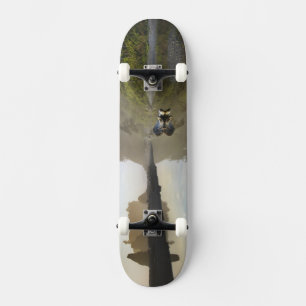 Zonsondergang bij Ruby Beach, Olympic National Par Skateboard