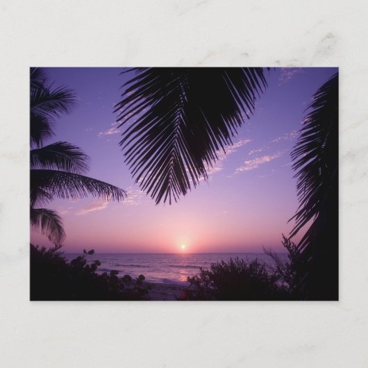 Zonsondergang bij West End, Cayman Brac, Kaaimanei Briefkaart (Voorkant)