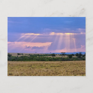 Zonsondergang boven de Masai Mara. Briefkaart