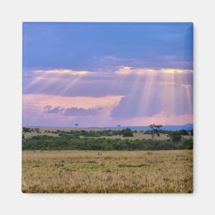 Zonsondergang boven de Masai Mara. Magneet