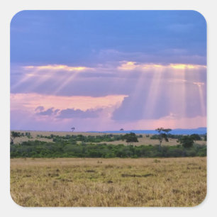 Zonsondergang boven de Masai Mara. Vierkante Sticker