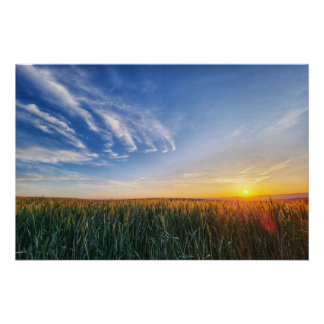 Zonsondergang boven een veld perfect poster