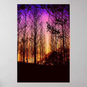 zonsondergang door bomen kleur veranderd poster