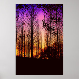 zonsondergang door bomen kleur veranderd poster