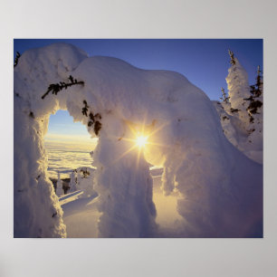 Zonsondergang door de Snowghosts bij Big Mountain Poster