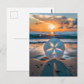 Zonsondergang door de Zanddollar Briefkaart (Voorkant / Achterkant)