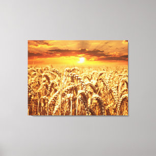Zonsondergang en tarweveld canvas afdruk