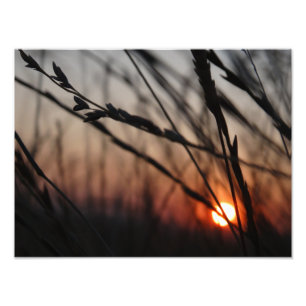 Zonsondergang Foto Kodak Professional Foto Afdruk