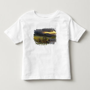 Zonsondergang hemel boven wijngaarden en historisc kinder shirts