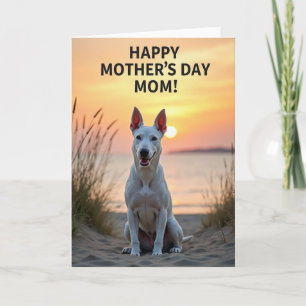 Zonsondergang Honden Scènekaart Kaart