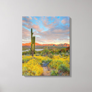 Zonsondergang in woestijnlandschap canvas afdruk