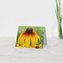 Zonsondergang Madeliefjes Fijne Kunst Fotografie V