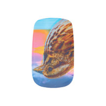 Zonsondergang Melodie