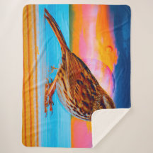 Zonsondergang Melodie